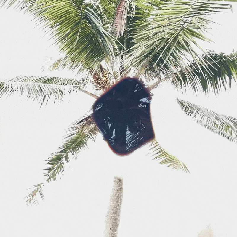 iPhone Pro MagFilters (16+17)